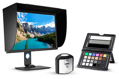 Monitory
