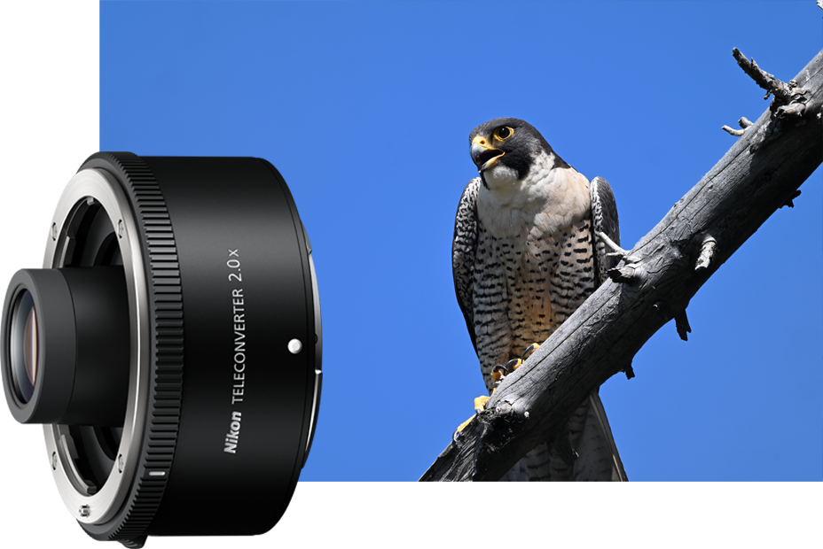 Obiektyw Nikkor Z 600mm f/6.3 VR S | Odbierz rabat 5% z kodem w koszyku NIKON5% | Obiektyw NIKKOR Z z 5-letnia gwarancją!