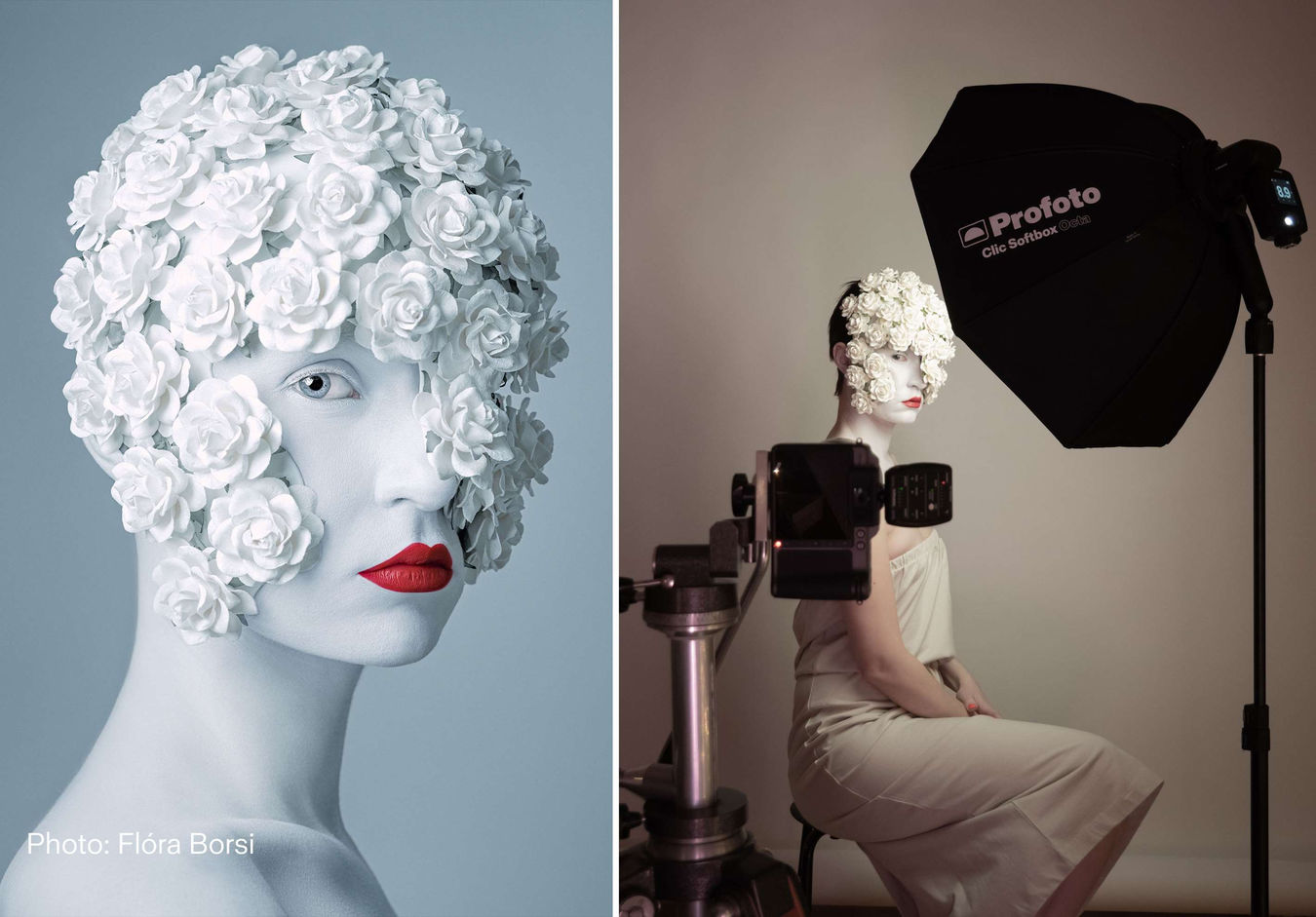 Profoto softbox "CLIC" Octa 2,7' (80 cm P101319)