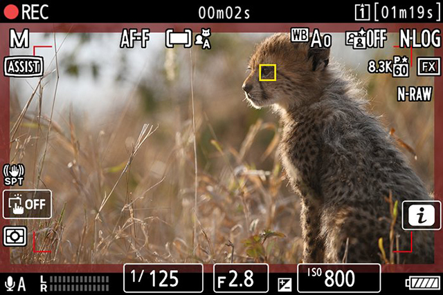 Bezlusterkowiec Nikon Z9  Cena zawiera rabat od firmy NIKON |