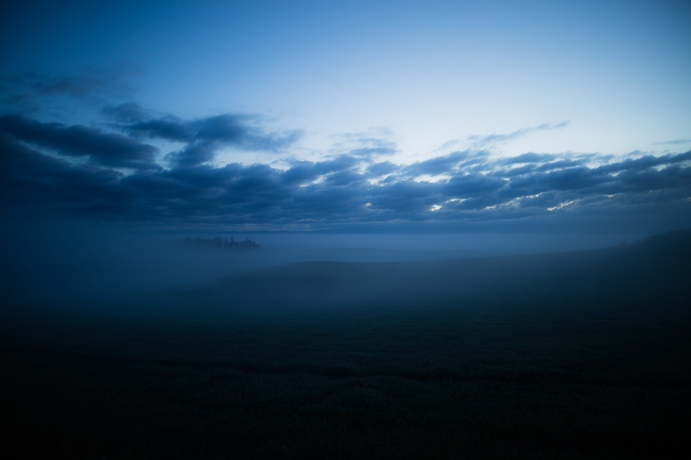 Obiektyw Sigma 20mm f/1,4 DG HSM Art (Nikon) - 5 lat gwarancji