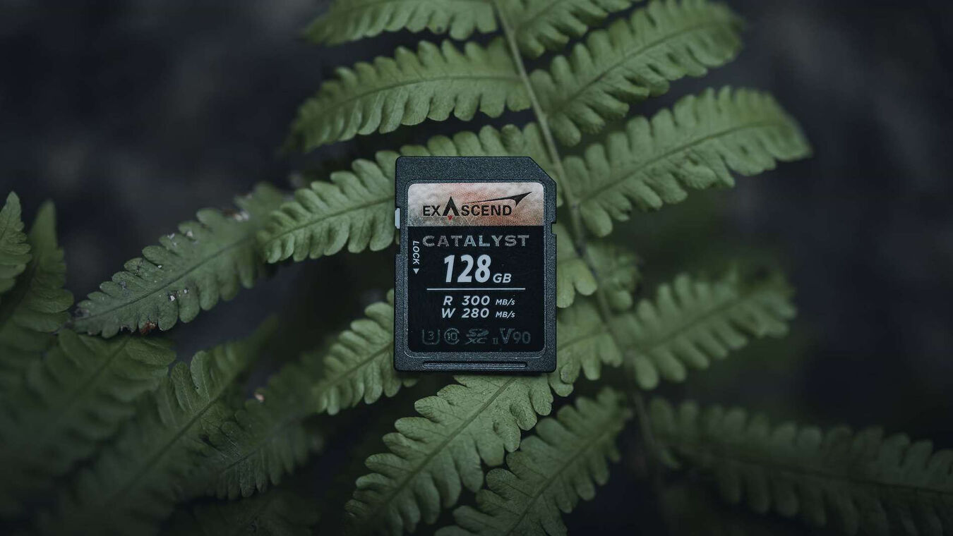 Karta pamięci Exascend Catalyst V90 (300/280 MB/s)