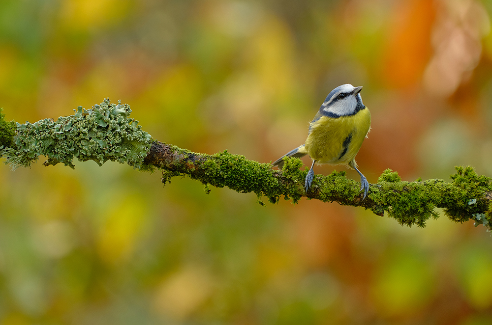 Obiektyw Fujinon XF 70-300mm f/4-5.6 R LM OIS WR | Dobierz filtr UV za 1 zł