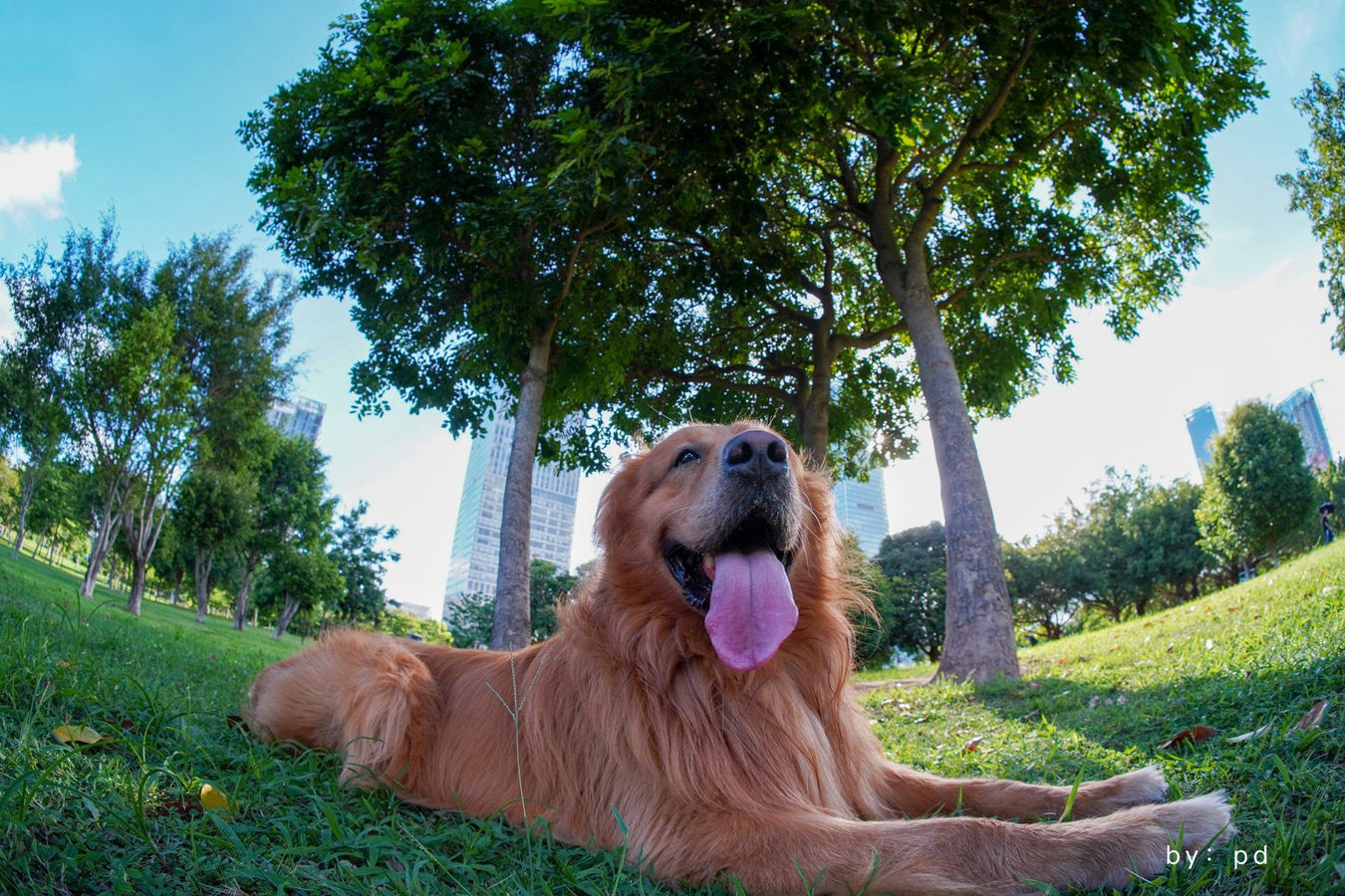 TTartisan 7,5 fisheye portret