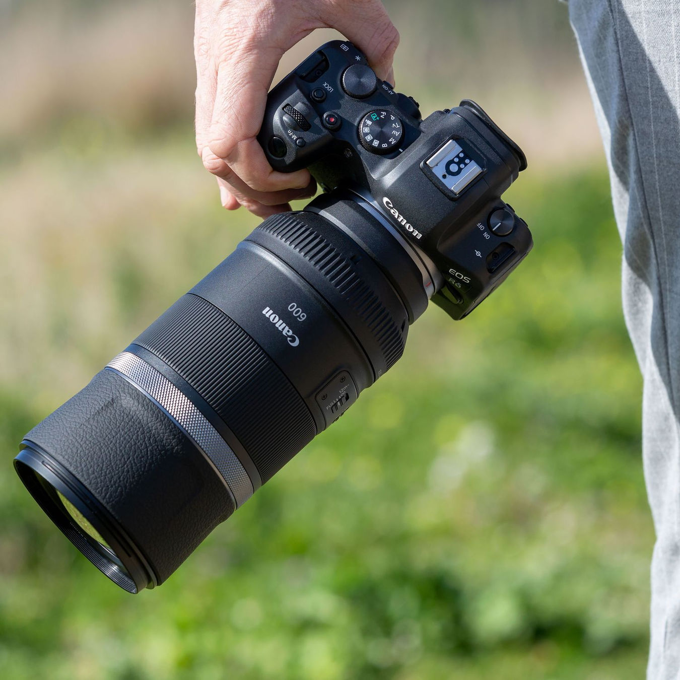 Bezlusterkowiec Canon EOS R6 body + adapter EF-EOS R - TYLKO WYSYŁKA! (wypożyczalnia)
