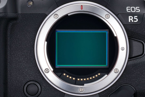 Bezlusterkowiec Canon EOS R5 + RF 24-105mm f/4L IS USM + Canon Mount Adapter EF-EOS R