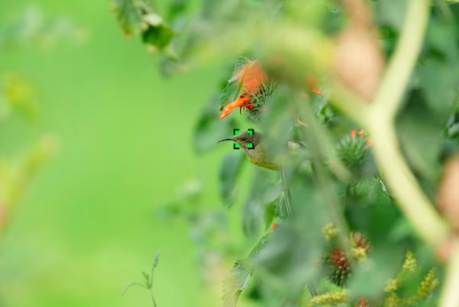 Bezlusterkowiec Sony A9 Mark III + Dobierz obiektyw 2000zł taniej! + Welcome to Alpha Cashback + Dobierz SONY NP-FZ100 za 1zł