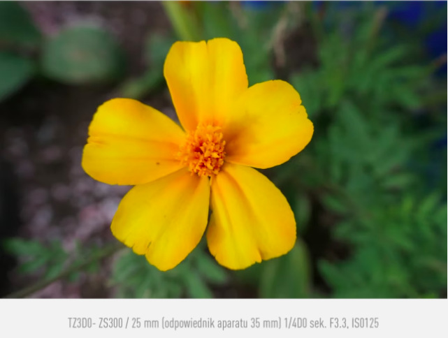 Aparat Panasonic Lumix TZ300 (czarny) |Promocja Dni Otwarte