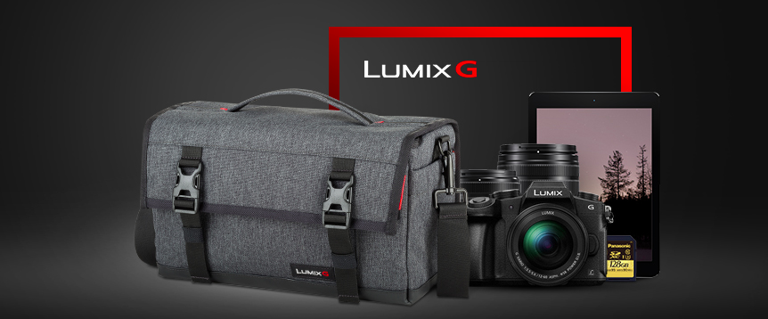 Torba Panasonic DMW-PM10