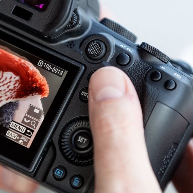 Bezlusterkowiec Canon EOS R6 body + adapter EF-EOS R - TYLKO WYSYŁKA! (wypożyczalnia)