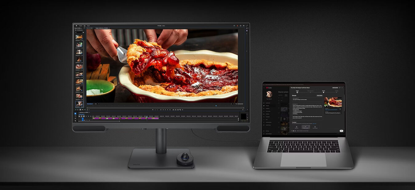 Monitor BenQ PV3200U