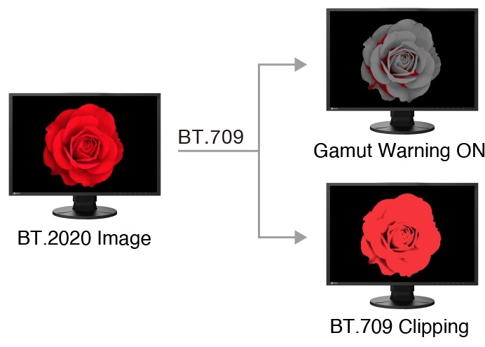Monitor EIZO ColorEdge CG2400S [Autoryzowany Partner Premium = 6 lat gwarancji] - Tylko teraz RABAT NATYCHMIASTOWY w koszyku!