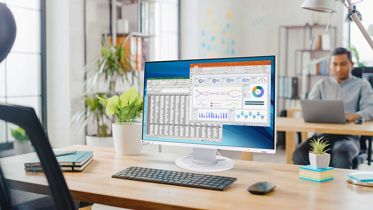 Monitor EIZO FlexScan EV2410R-BK (7 lat gwarancji) [Autoryzowany Partner Premium]