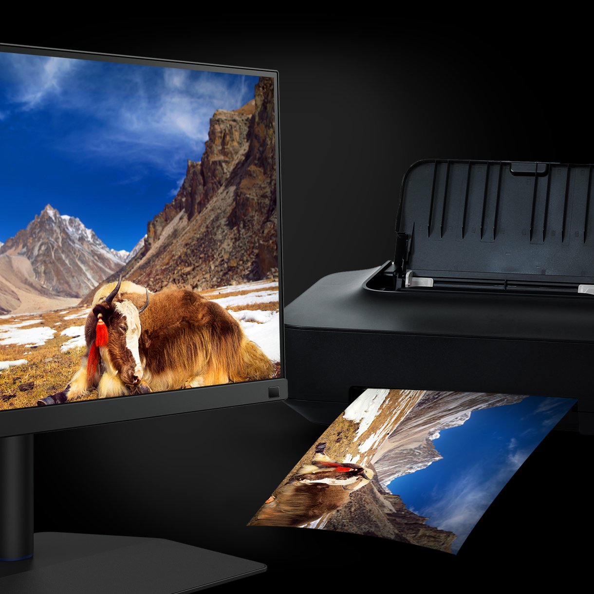 Monitor BenQ SW272U
