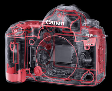 Canon EOS 5D Mark IV (wypożyczalnia)