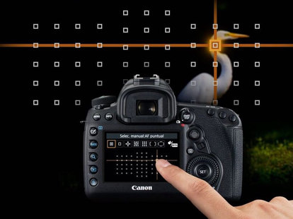 Canon EOS 5D Mark IV (wypożyczalnia)