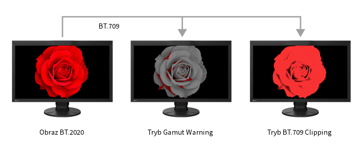 Monitor EIZO ColorEdge CG2700X [Autoryzowany Partner Premium = 6 lat gwarancji] > wypożyczalnia