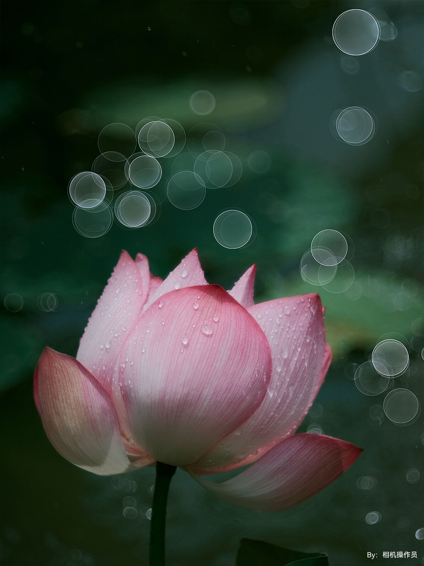 Obiektyw TTArtisan 100mm f/2.8 Soap Bubble Bokeh - mocowanie Leica M