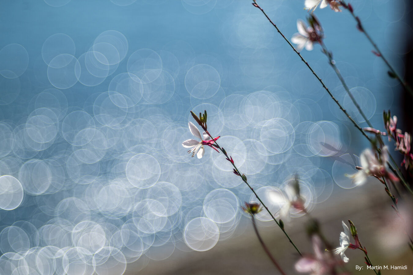 Obiektyw TTArtisan 100mm f/2.8 Soap Bubble Bokeh - mocowanie Leica M
