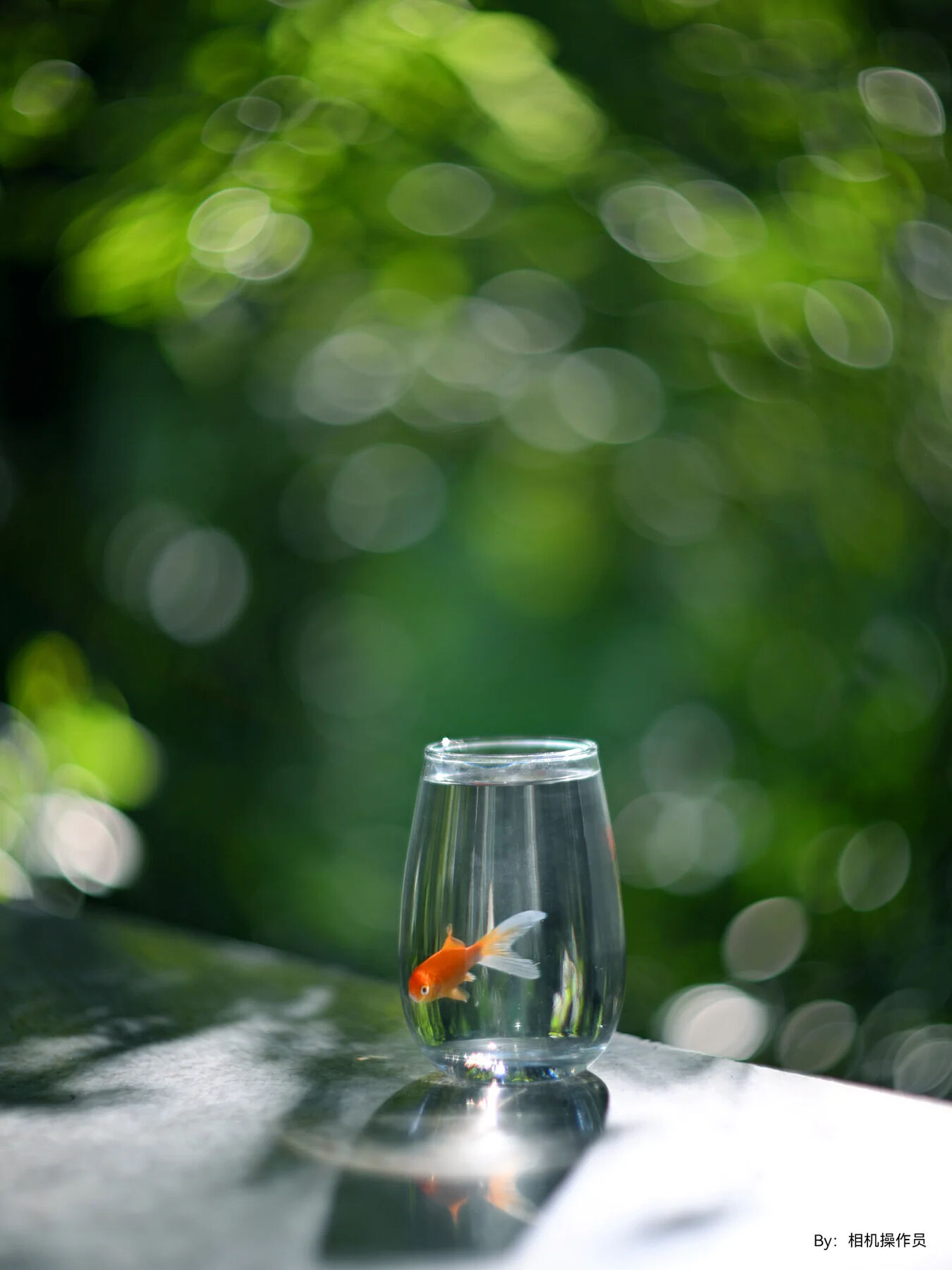 Obiektyw TTArtisan 75mm f/1.5 Swirly Bokeh - replika obiektywu Biotar - mocowanie M42