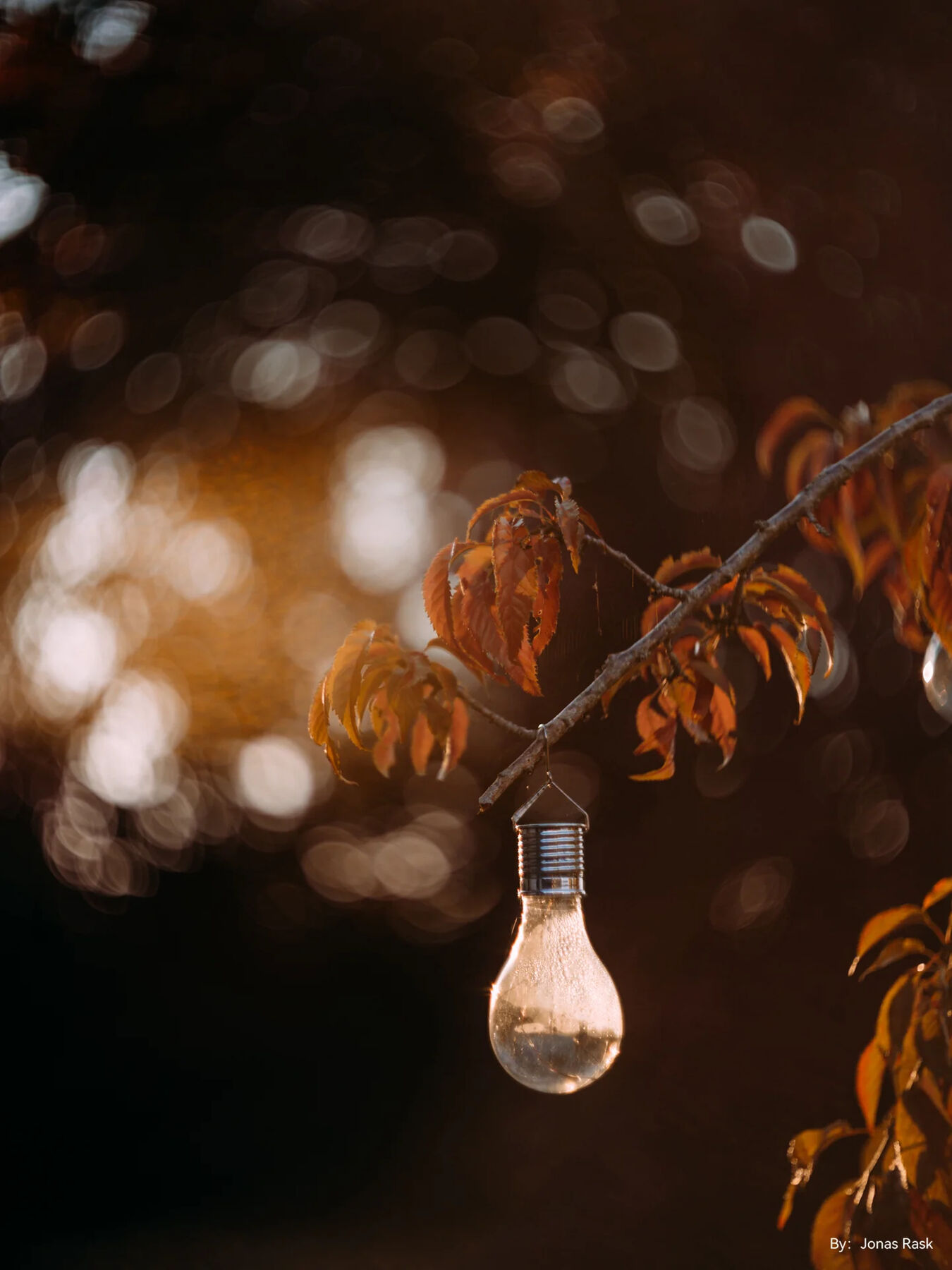 Obiektyw TTArtisan 75mm f/1.5 Swirly Bokeh - replika obiektywu Biotar - mocowanie M42