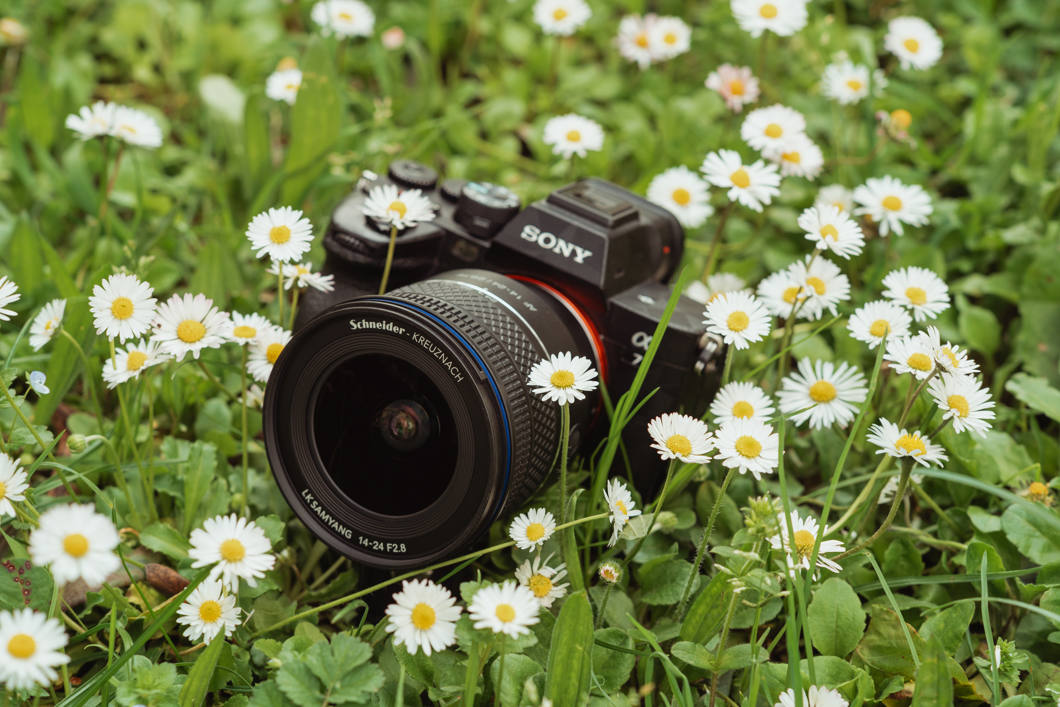 Obiektyw Samyang AF 14-24mm F/2.8 (Sony FE) - Natychmiastowy Cashback 430 zł