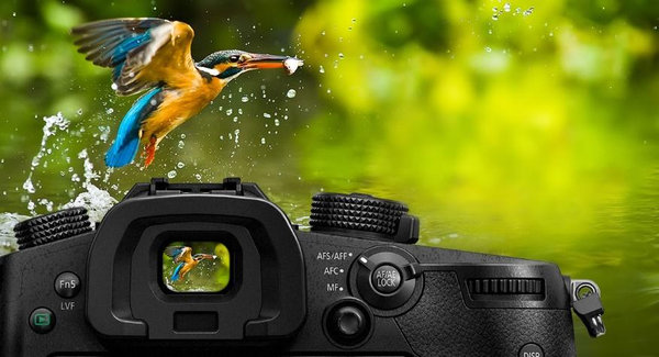 Bezlusterkowiec Panasonic Lumix DC-GH5 - sn:WH7DAQ09457 - Używany